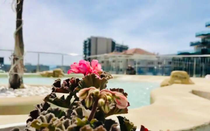 Luxury Ocean Plaza Private Large 1 Bed *