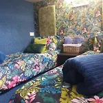 Jasmine Coral Jay Boutique Boatel Ocean Village