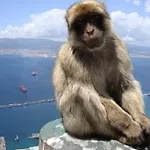 Gibraltar City Centre