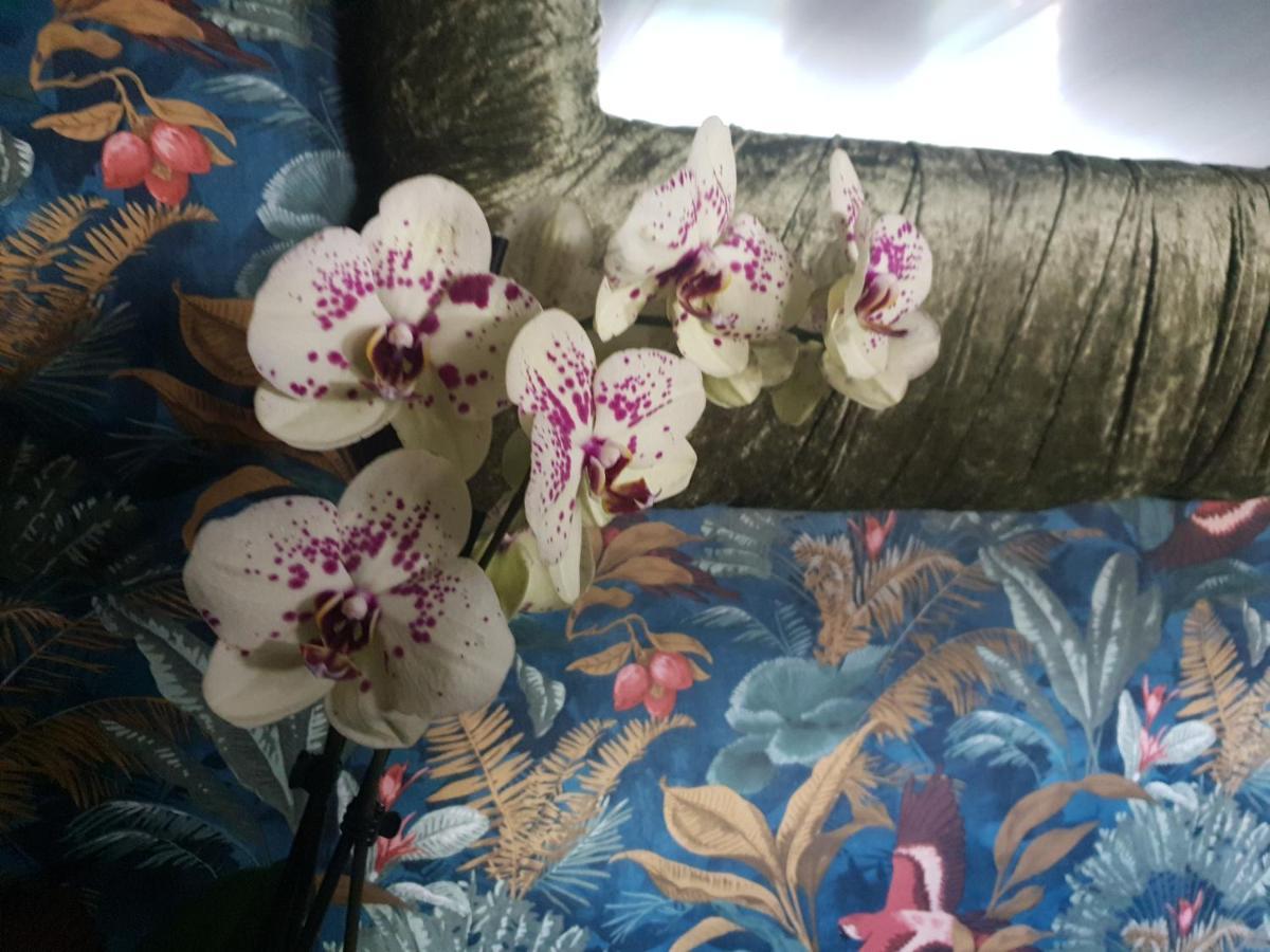 Botel Jasmine Coral Jay Boutique Boatel Ocean Village Gibraltar