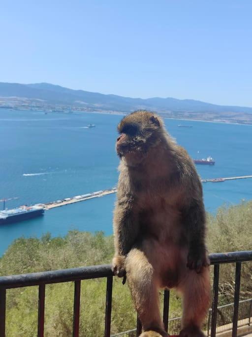 Apartment Luxury Apartment/high Floor/stunning Views/parking Gibraltar