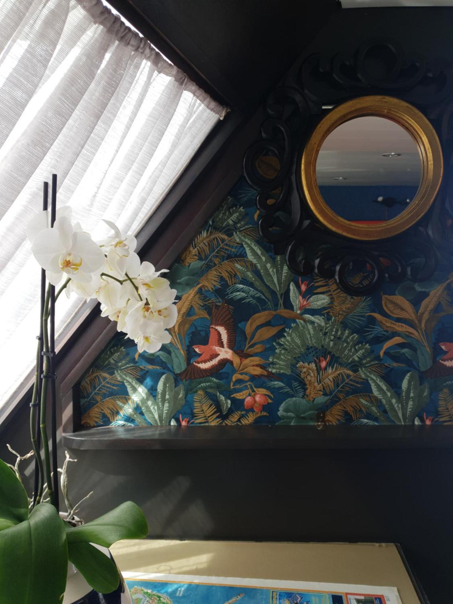 Jasmine Coral Jay Boutique Boatel Ocean Village Botel
