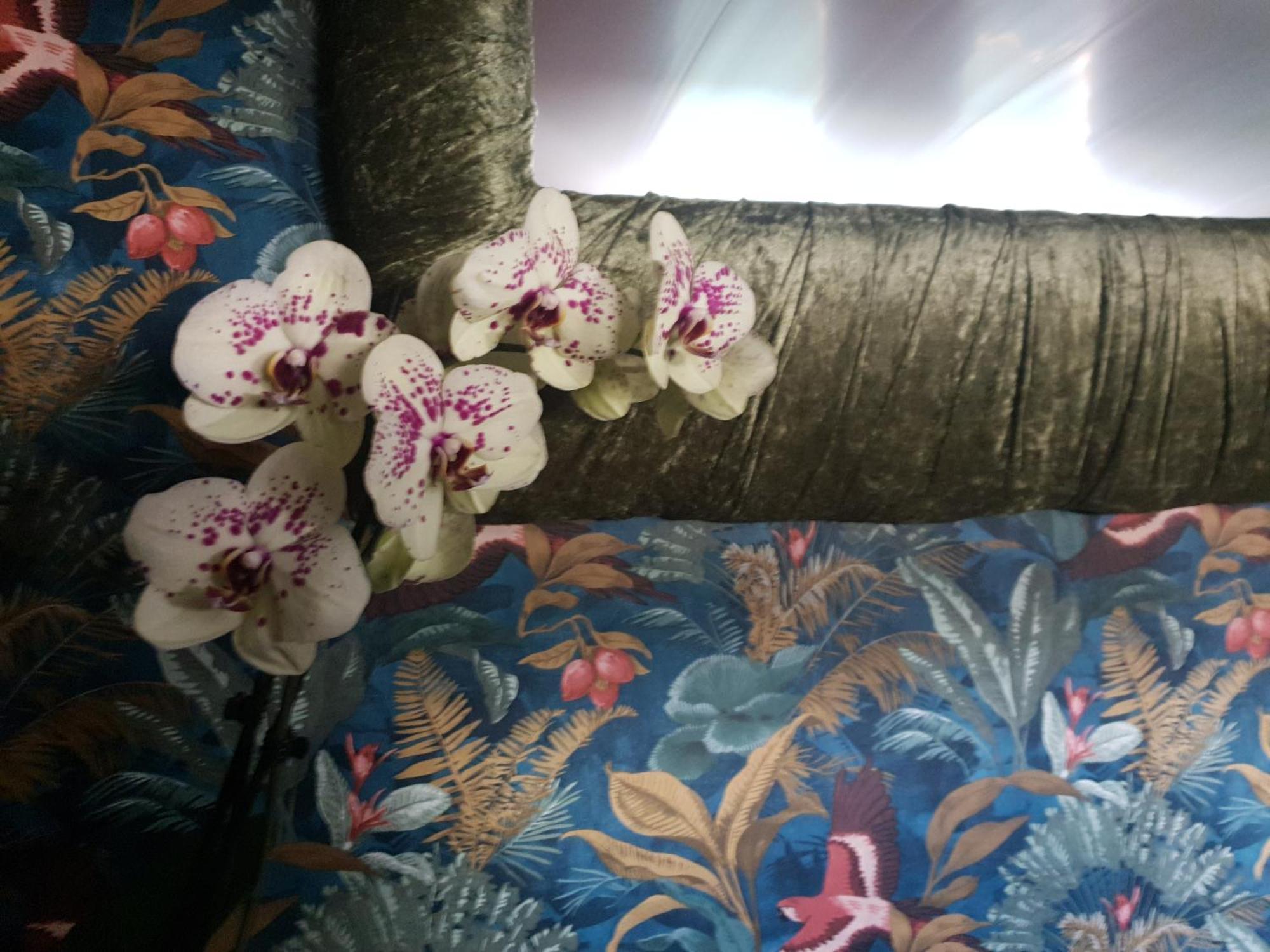 Botel Jasmine Coral Jay Boutique Boatel Ocean Village *