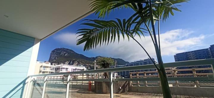 Marina Club New Complex Outstanding Gibraltar